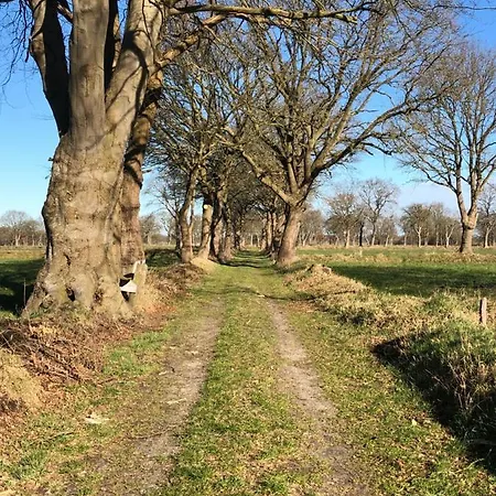 Gut Strackholt Seemannsgarn Διαμέρισμα