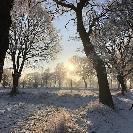 Διαμέρισμα Gut Strackholt Seemannsgarn *