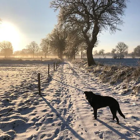 Διαμέρισμα Gut Strackholt Seemannsgarn