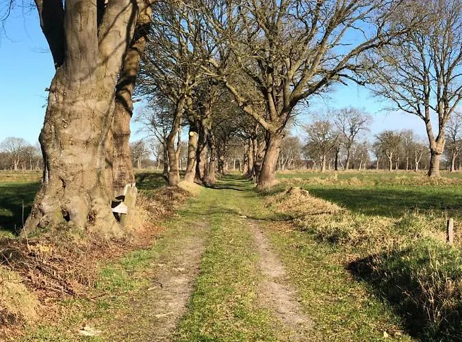 Gut Strackholt Seemannsgarn Lejlighed