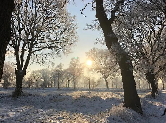 Lejlighed Gut Strackholt Seemannsgarn *