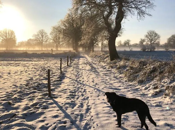 Lejlighed Gut Strackholt Seemannsgarn